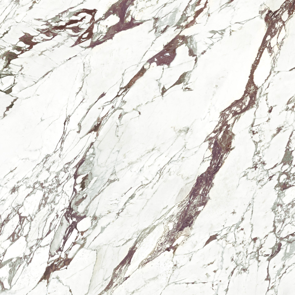 Breccia Capraia