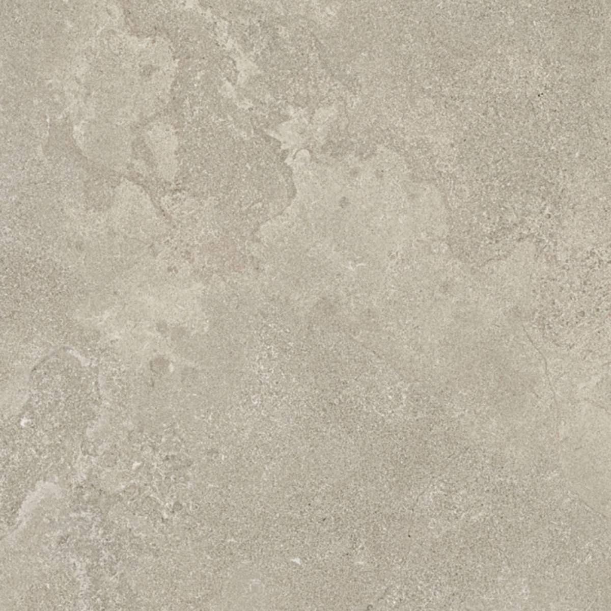 Tortora - Cross Cut
