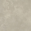 Tortora - Cross Cut
