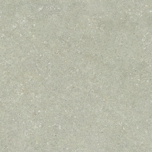 Tortora