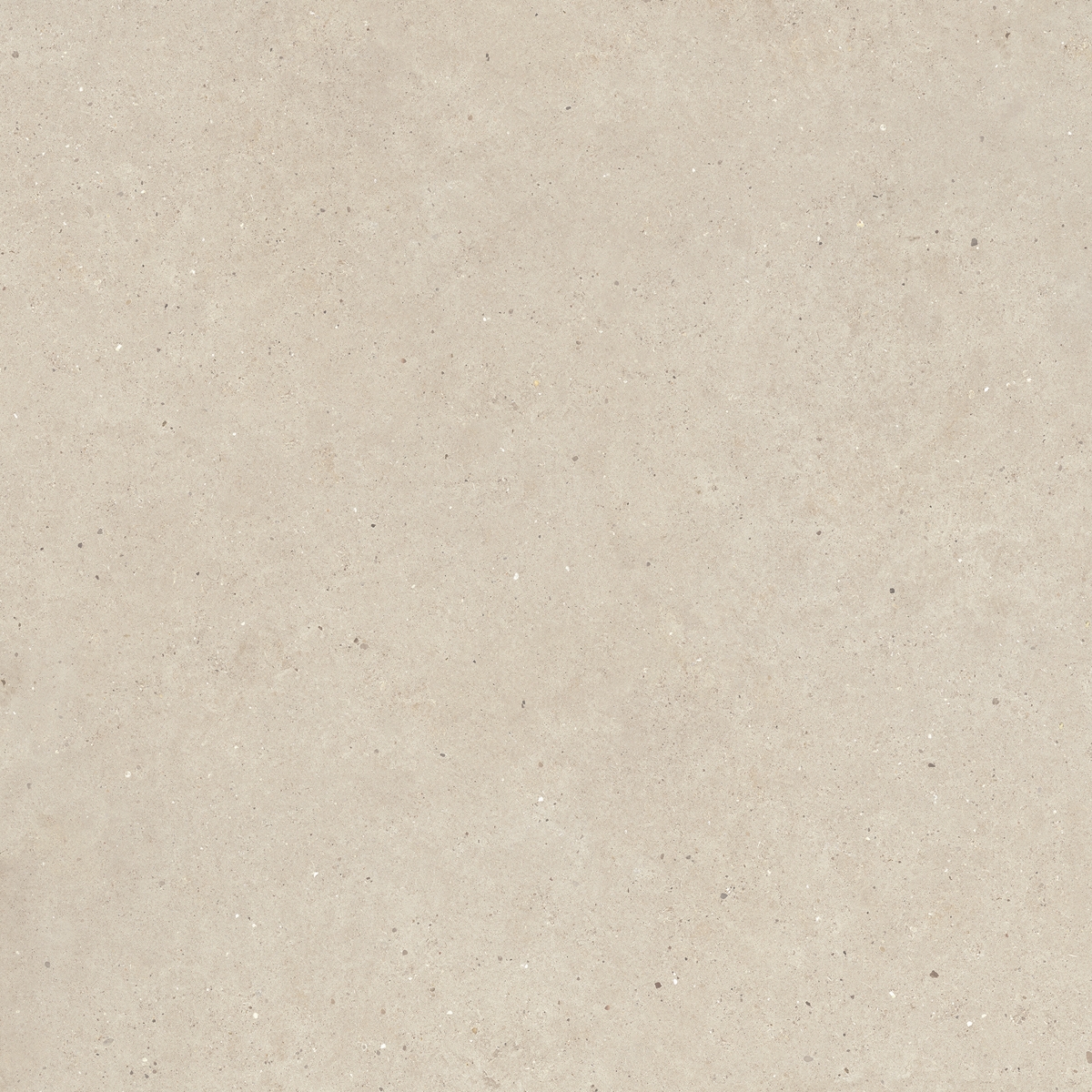 Silver Grain Cream