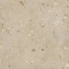Ivory Ciottolo