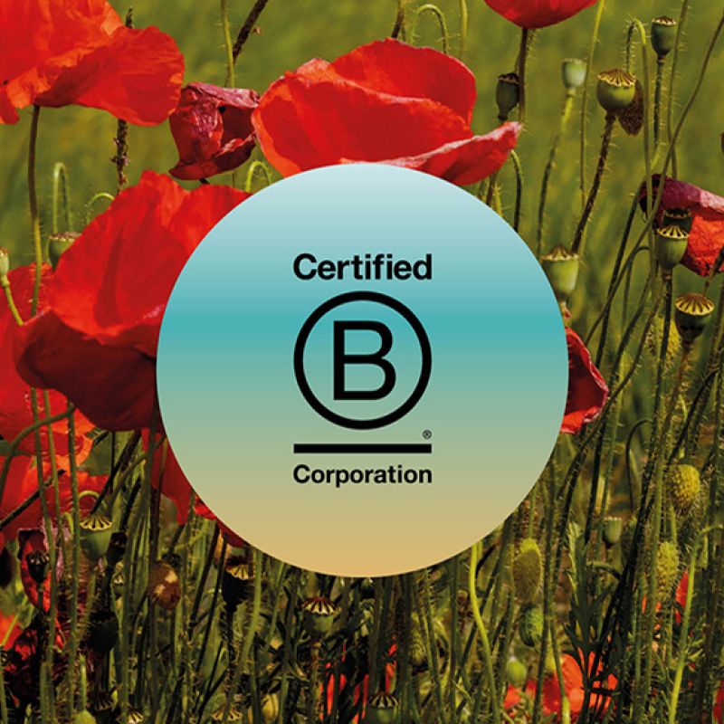 Bilan de Durabilité 2022